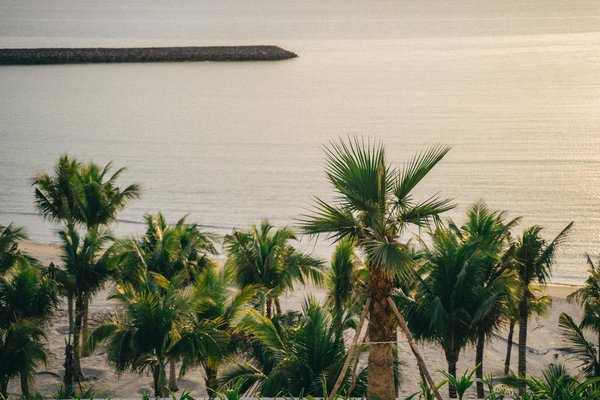 Discover the Top UK Destinations to Explore the Legacy of Post-War British Architecture